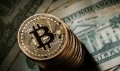 Bitcoin là tương lai của tiền tệ?
