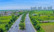 Hà Nội: Đầu tư tuyến đường hình thức BT giáp ranh với Khu đô thị Ecopark