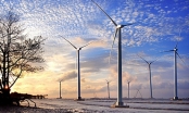 Quảng Bình: Nhà đầu tư nước ngoài nghiên cứu đầu tư 2 dự án điện gió nghìn tỷ