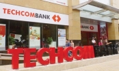 Nhóm cổ đông Masan sở hữu 16,4% vốn Techcombank