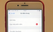 Hai luật sư Việt Nam kiện Apple vì làm chậm iPhone