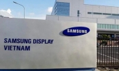 Samsung xin gộp ba dự án làm một để tinh gọn nhân lực