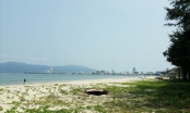Đà Nẵng tìm giải pháp hồi sinh “Con đường biển đẹp nhất Việt Nam”