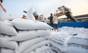 Việt Nam có thể xuất khẩu 6,5 triệu tấn gạo trong năm 2018