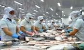 Mỹ áp thuế chống bán phá giá cao với cá tra của Việt Nam: 'Là không khách quan, bảo hộ quá mức'