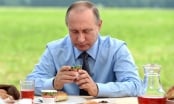 Thói quen ăn uống của tổng thống Vladimir Putin là gì?