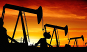 Cổ phiếu dầu khí đồng loạt giảm điểm mạnh trong phiên giao dịch 26/3
