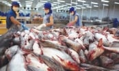 Hoa Kỳ sắp thanh tra chương trình kiểm soát cá da trơn Việt Nam