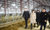 Quỹ RFPI của Nga đầu tư 630 triệu USD vào dự án sản xuất sữa của Tập đoàn TH