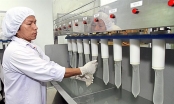 Doanh nghiệp Việt duy nhất sản xuất bao cao su lần đầu báo lỗ