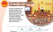 [Infographic] Kỳ họp thứ 5, Quốc hội khoá XIV: Thông qua 7 dự án luật