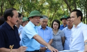 Quảng Trị giao 200 ha đất cho FLC đầu tư 371 tỷ đồng làm dự án nông nghiệp công nghệ cao