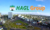 HAGL đặt mục tiêu năm 2018 LNTT 200 tỷ đồng, doanh thu mảng trái cây dự kiến gần 4.000 tỷ đồng