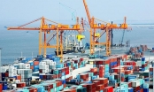 Xuất nhập khẩu tháng 6 giảm 3,5%