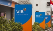 Phó Tổng giám đốc VIB muốn mua 2,3 triệu cổ phiếu VIB