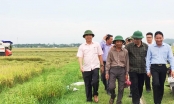 Quảng Trị đẩy mạnh sản xuất nông nghiệp công nghệ cao