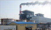 Bộ Kế hoạch ‘bác’ đề nghị cấp giấy đầu tư Dự án nhiệt điện Vũng Áng II