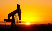 Nỗi lo về nguồn cung đẩy giá dầu tăng lên gần chạm ngưỡng 80USD/thùng