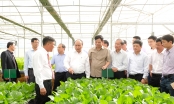 Sáng mai, Thủ tướng dự hội nghị thúc đẩy doanh nghiệp đầu tư vào nông nghiệp