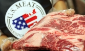'Mỹ có thể dùng Việt Nam để đưa thực phẩm cao cấp, thịt bò… sang Trung Quốc'