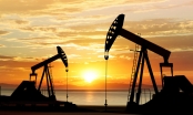 Đã đến lúc nhà đầu tư cần cẩn trọng 'sóng' cổ phiếu dầu khí?
