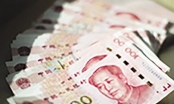 Việt Nam mượn của Trung Quốc bao nhiêu?