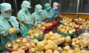 Xuất khẩu nông sản Việt Nam đứng thứ 2 Đông Nam Á, thứ 15 thế giớ