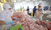 Sau tôm, Mỹ giảm thuế cá tra Việt Nam