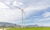 Tăng giá mua điện có dễ gọi vốn vào điện gió?
