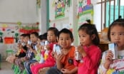 Nghìn tỷ cho 'sữa học đường': Vì sao nhiều bậc cha mẹ còn băn khoăn?