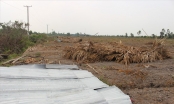 Vụ “10 triệu đồng 1.500m2 đất” ở Long An: Nhiều người tiếp tục bị lừa
