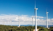 Bà Rịa - Vũng Tàu: Đầu tư dự án nhà máy điện gió hơn 4.000 tỷ đồng