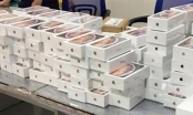 Chính phủ chỉ đạo xác minh vụ nhập khẩu hơn 1.100 iPhone Xs