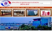 Chiêu thâu tóm đất vàng Lê Hoàn của doanh nghiệp bị hủy trúng thầu vụ đấu giá gần 400 lô 'đất vàng' Thanh Hóa