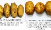 Nông sản nhập khẩu 'đột lốt' hàng Việt Nam: Cần xử lý mạnh tay