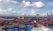 Doanh nghiệp nhập khẩu hải sản kêu cứu do “tắc” tại cảng