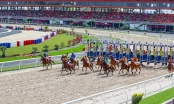 Nhà đầu tư Hàn Quốc đổ 420 triệu USD vào dự án trường đua ngựa ở Sóc Sơn