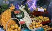 Đặc sắc tại Lễ hội Cam và các sản phẩm nông nghiệp Hà Tĩnh lần thứ 2