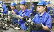 Hà Nội: Tập trung phấn đấu 95% lao động tham gia BHXH