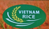 Công bố chính thức logo thương hiệu Gạo Việt Nam