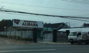 Nhận diện ông 'trùm' địa ốc Alibaba