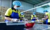 Trung Quốc 'săn' doanh nghiệp Việt
