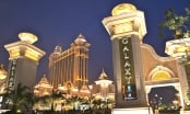 Tập đoàn Hồng Kông 'tố' Duyen Ha Resort Cam Ranh sử dụng trái phép thương hiệu Galaxy