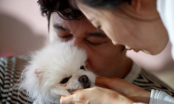 Nuôi con tốn kém, cha mẹ Hàn Quốc chuyển sang nuôi thú cưng