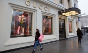 Chủ sở hữu Gucci bị nghi nợ thuế 1,6 tỷ USD
