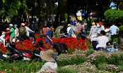 Người Sài Gòn đổ xô tới công viên mua hoa giảm giá ngày 30 Tết