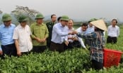 Chủ tịch UBND tỉnh Hà Tĩnh:  “Hương Sơn cần phát triển mạnh nông nghiệp gắn với du lịch”