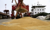 Trung Quốc đề nghị mua thêm 30 tỷ USD nông sản Mỹ mỗi năm