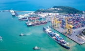 Hãng tàu biển Đài Loan bỏ 400 tỷ mua 20% cổ phần Cảng Đà Nẵng