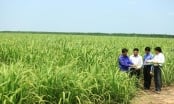 Gia đình ông Đặng Văn Thành tiếp quản nhà máy đường, cồn, điện 16.000 ha ở Campuchia